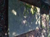 image of grave number 820647